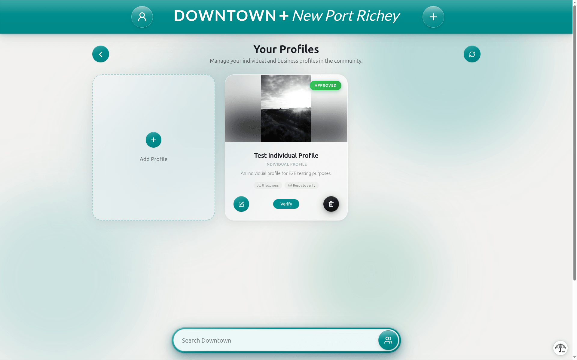 Your Profiles page showing an approved profile card with its stats band and a Verify button