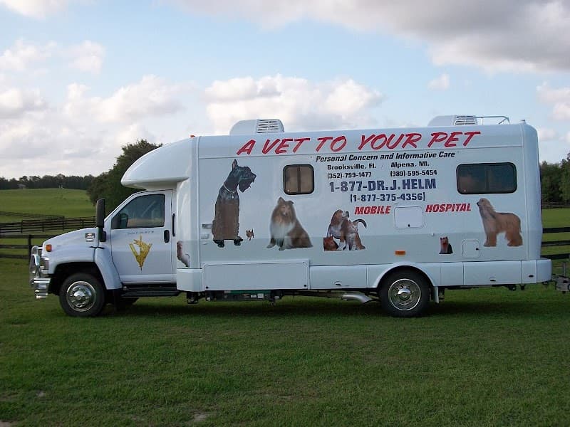 A Vet to Your Pet A Vet to Your Pet