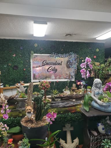 Succulent City