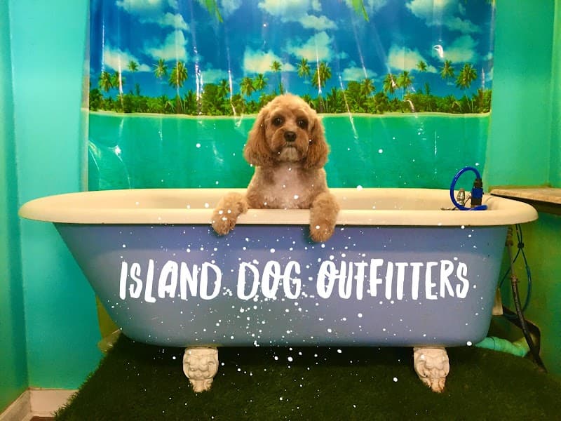 Island Dog Outfitters Island Dog Outfitters