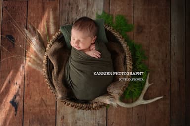 Carrier Photography Carrier Photography