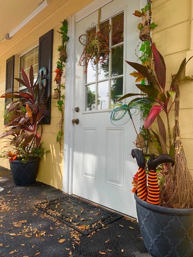 Curl Up & Dye Boutique and Hair Salon