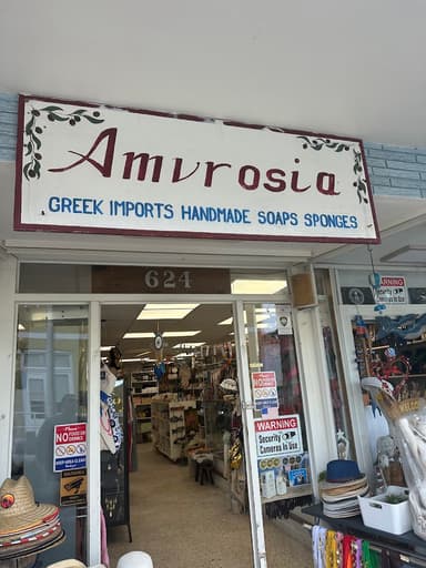 Amvrosia Inc Amvrosia Inc