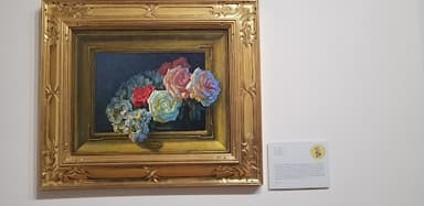 Christopher M Still Studio