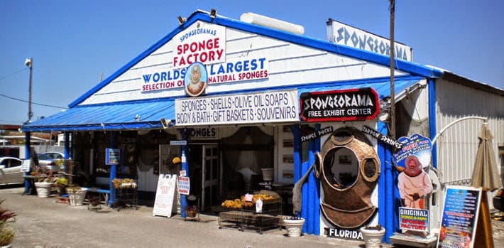 Spongeorama Sponge Factory Spongeorama Sponge Factory