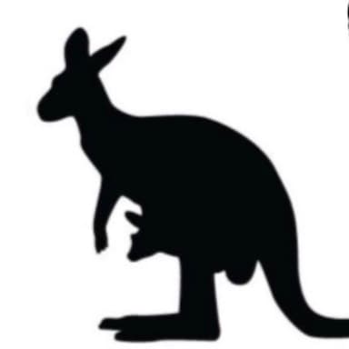 The Kangaroo