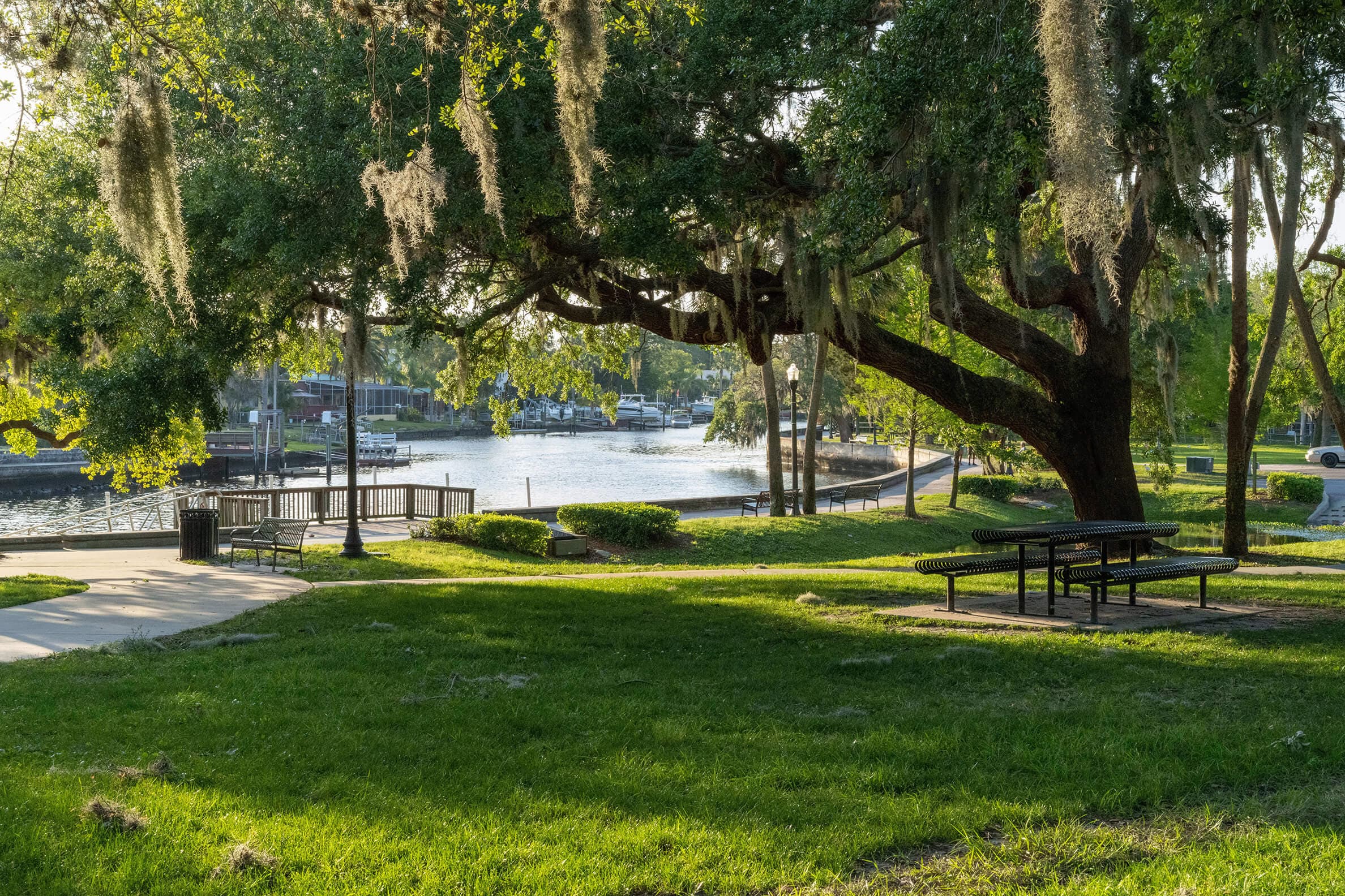 Contribute Information Contribute Information